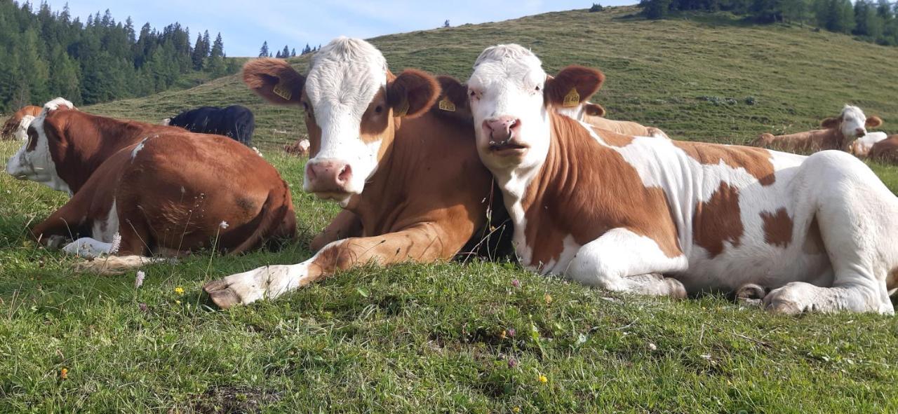 Fewo Niederndorferberg Exteriör bild